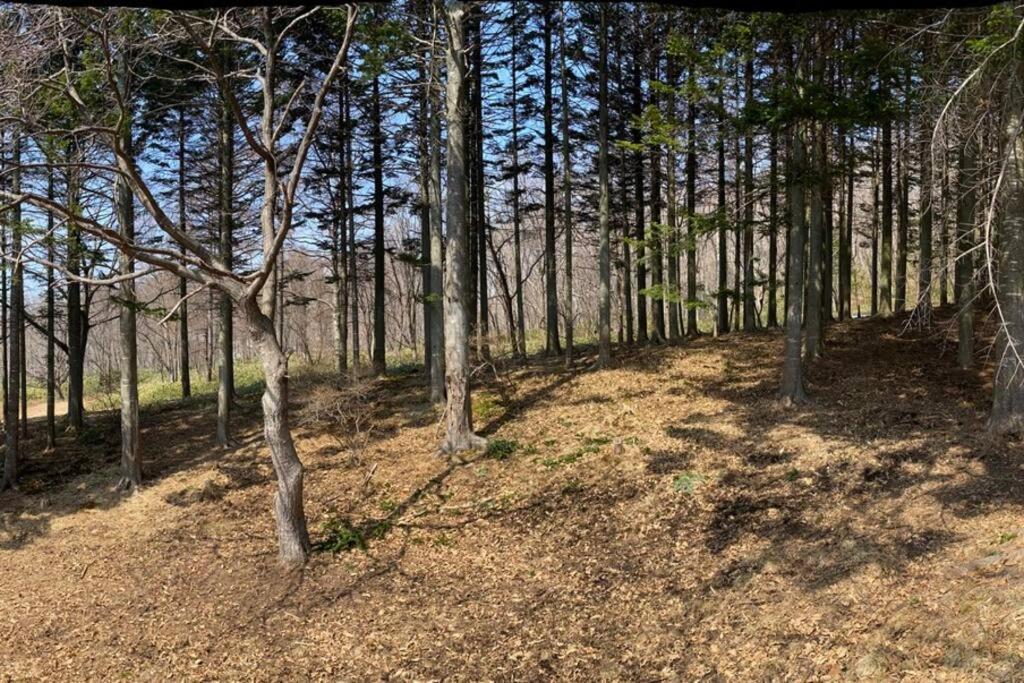 Noboribetsu No Mori 빌라 외부 사진