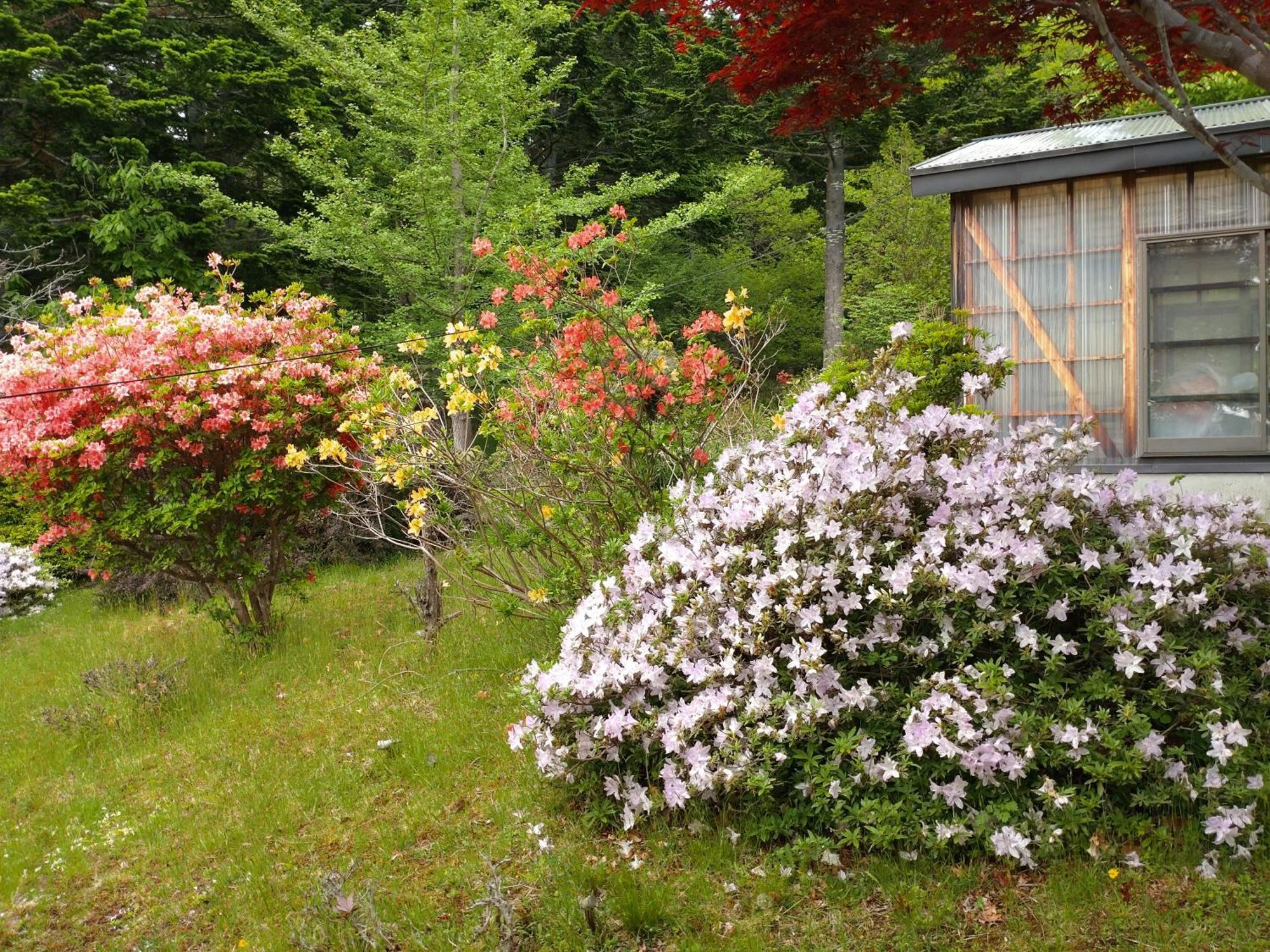 Noboribetsu No Mori 빌라 외부 사진